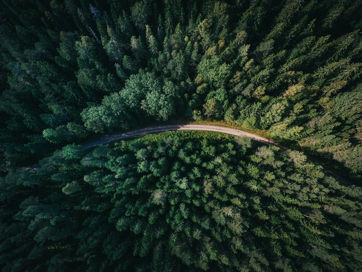 Why I am a Climate Optimist